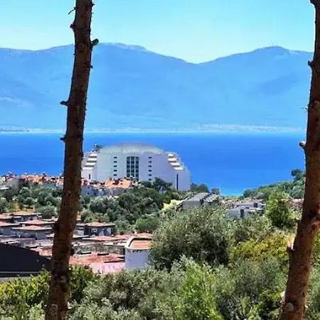 Villa Ozel Havuzlu 4 Yatak Odali Rezervasyon Yapmadan Once Lutfen Iletisime Gecin Kusadasi